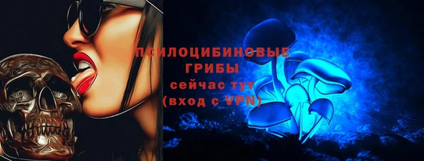 jwh Бородино