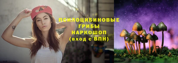 jwh Бородино