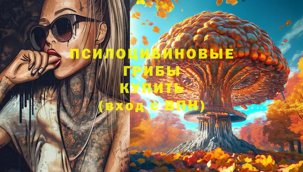 соль ск Бугульма